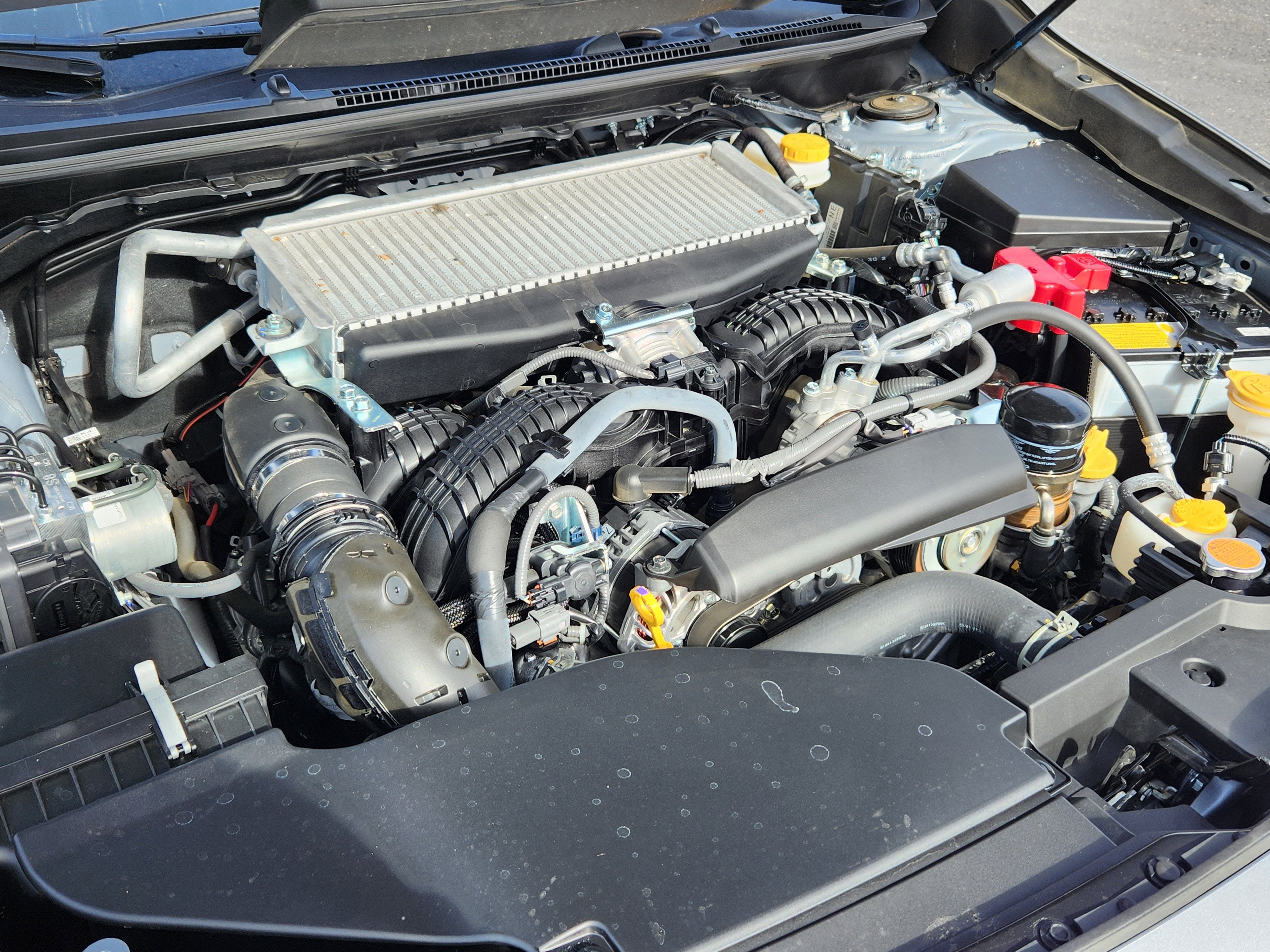 2024 Subaru WRX Premium