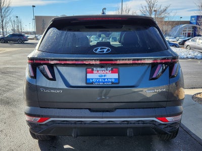 2024 Hyundai Tucson Hybrid SEL Convenience